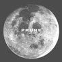 www.boutiqueprune.ch